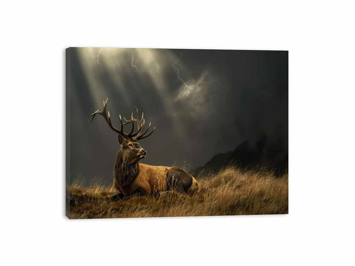 Majestic Stag Canvas Print