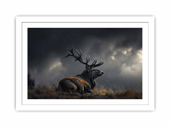 Majestic Stag Streched canvas