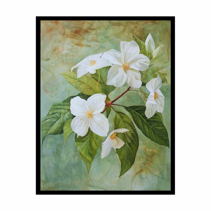 Swainsona Formosa Flower  Painting