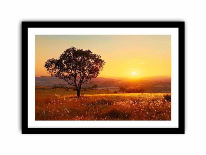 Lovely Sun  Art Print