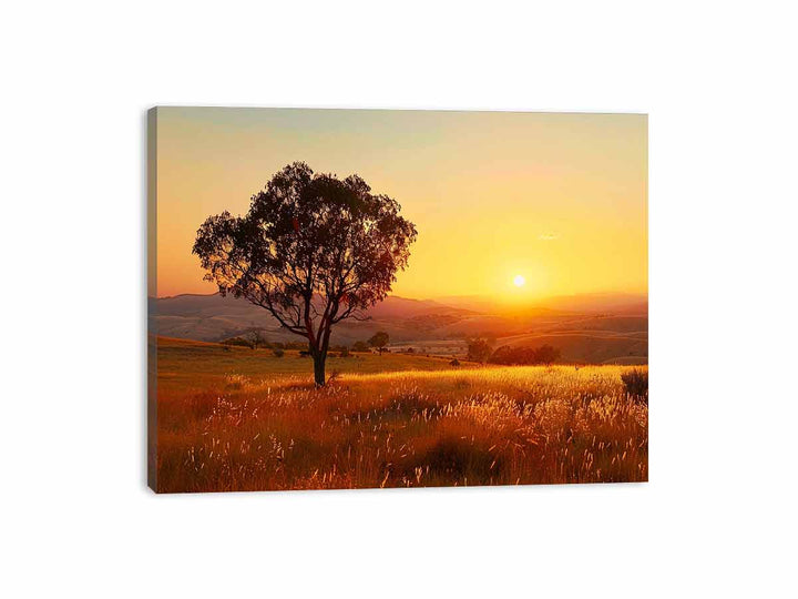 Lovely Sun Canvas Print