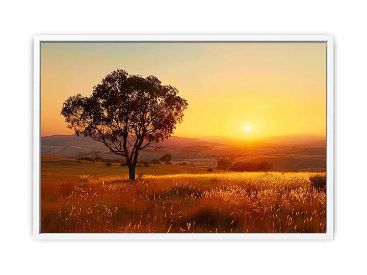 Lovely Sun Framed Print