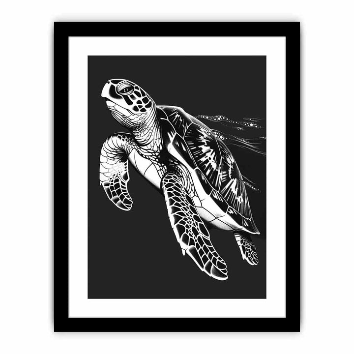 Turtle   Art Print