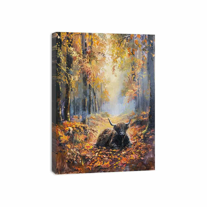 Scottish Highland  Canvas Print