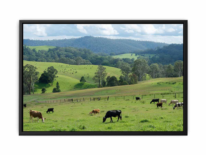 Aussie Farm   Painting