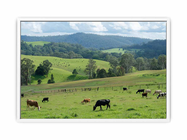 Aussie Farm  Framed Print