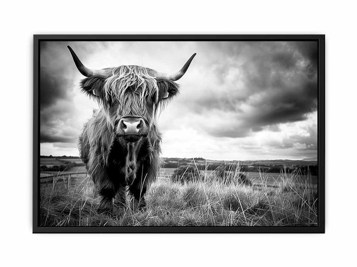 Stormy  The Highland Cow  Painting