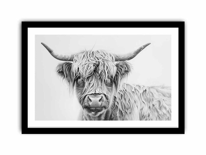 Scotland Highland Cow  Art Print