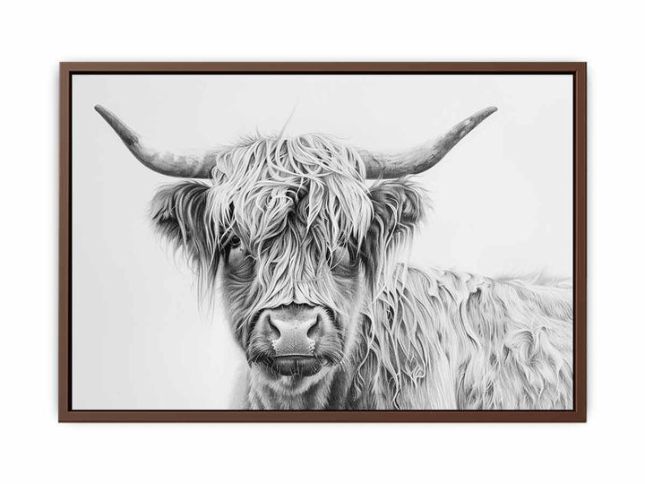 Scotland Highland Cow  Poster