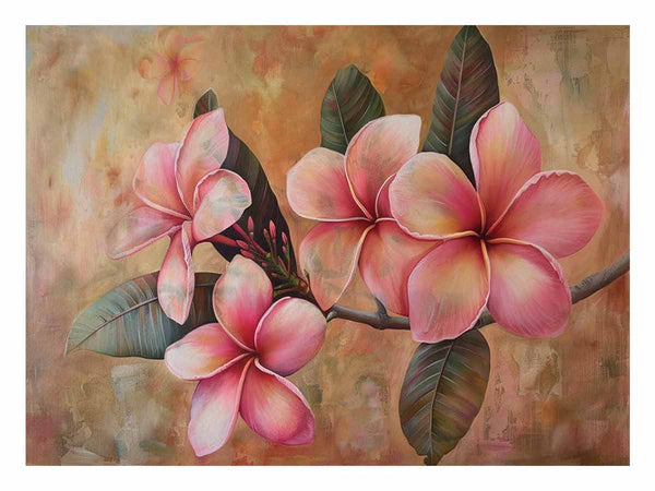 Pink Frangipani