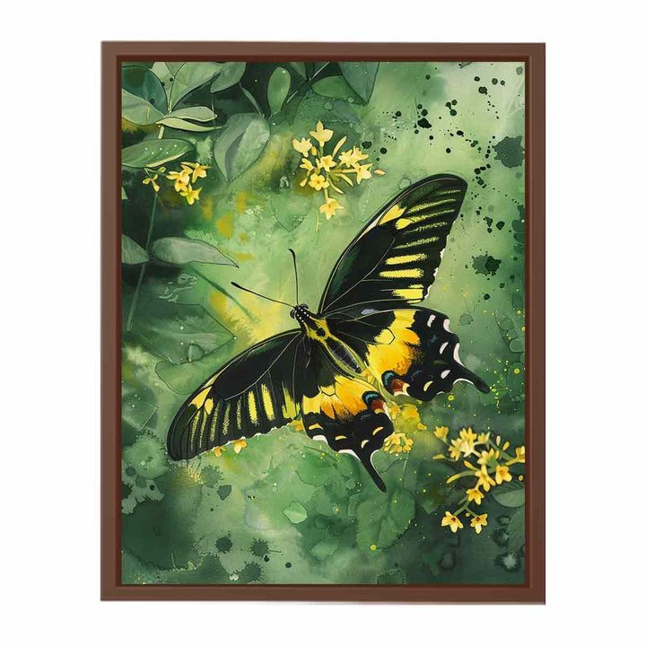 Birdwing Butterfly  Poster