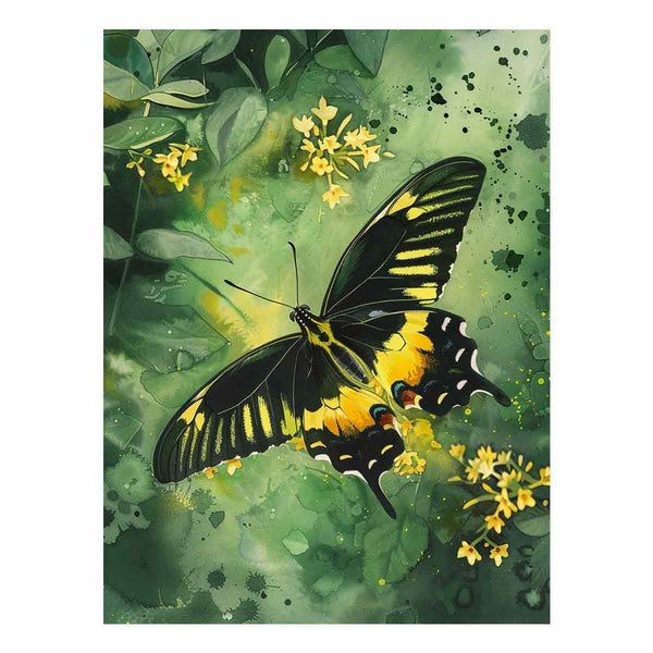 Birdwing Butterfly