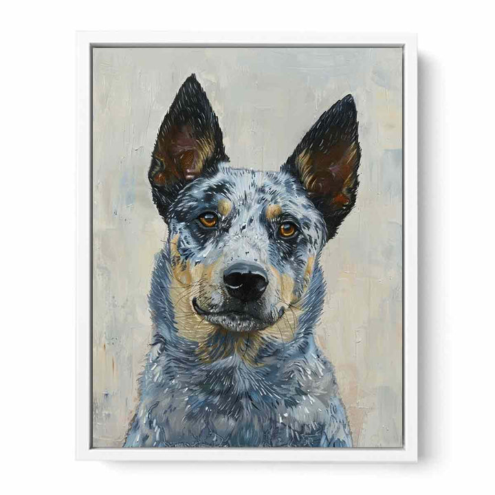 Blue Heeler Framed Print