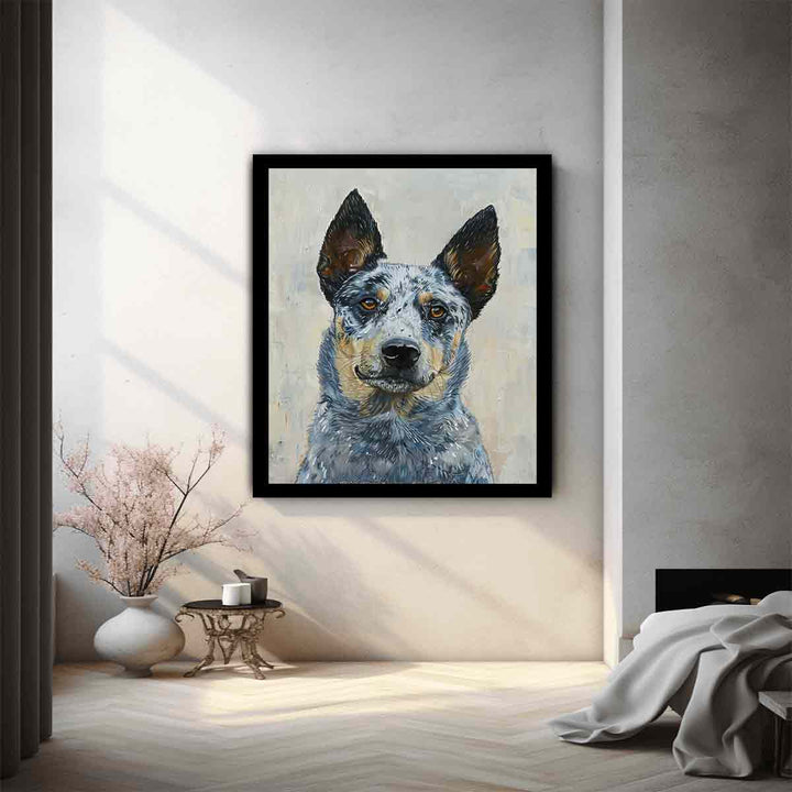 Blue Heeler 