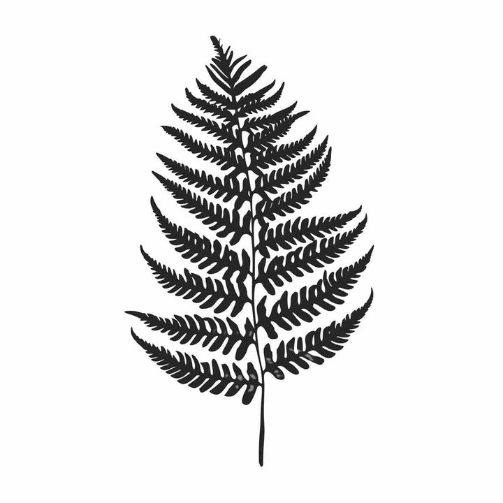 Fern Leaf