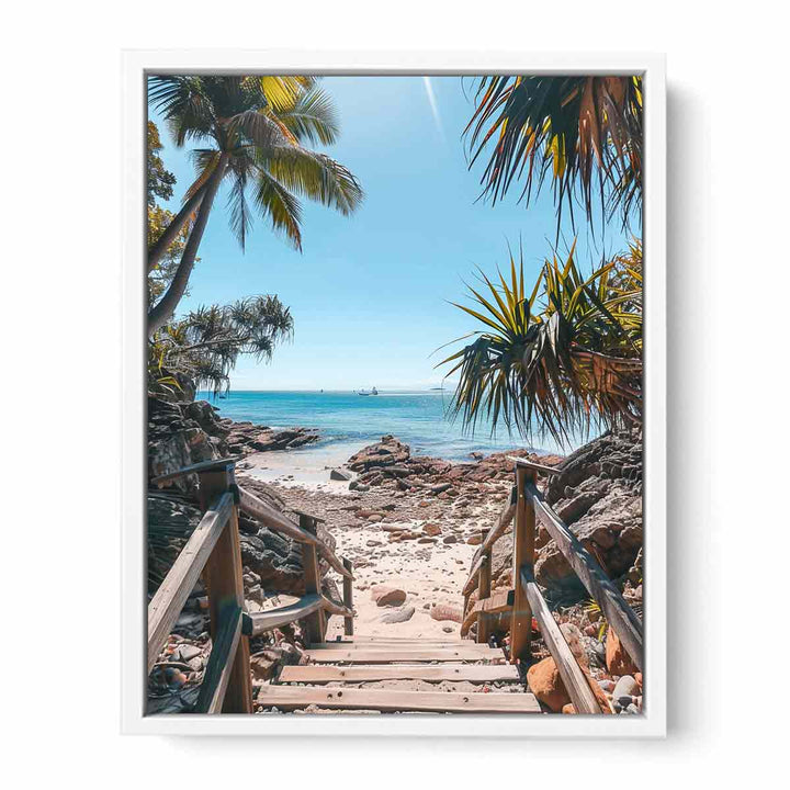 Sunshine Coast Steps Framed Print