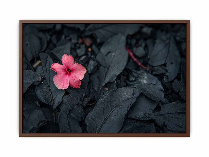 Flowering Ash  Poster