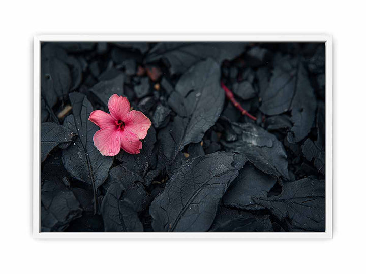 Flowering Ash Framed Print