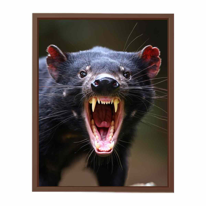 Tasmanian Devil  Poster