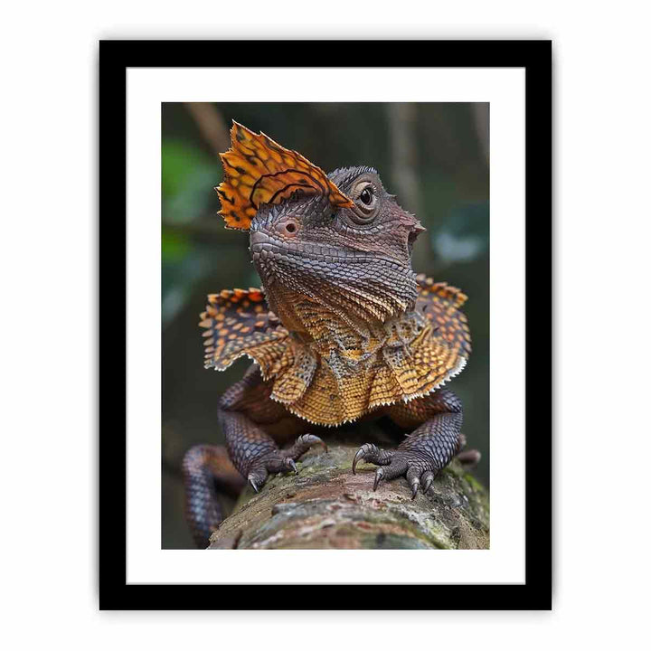 Frilled Neck  Art Print