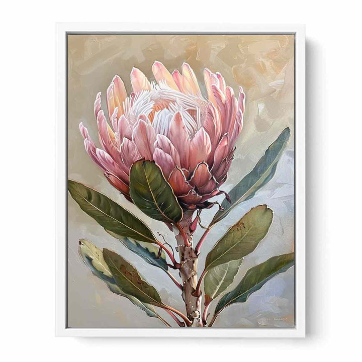 Protea Wall art Framed Print