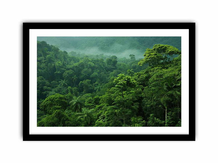 Rainforest  Art Print