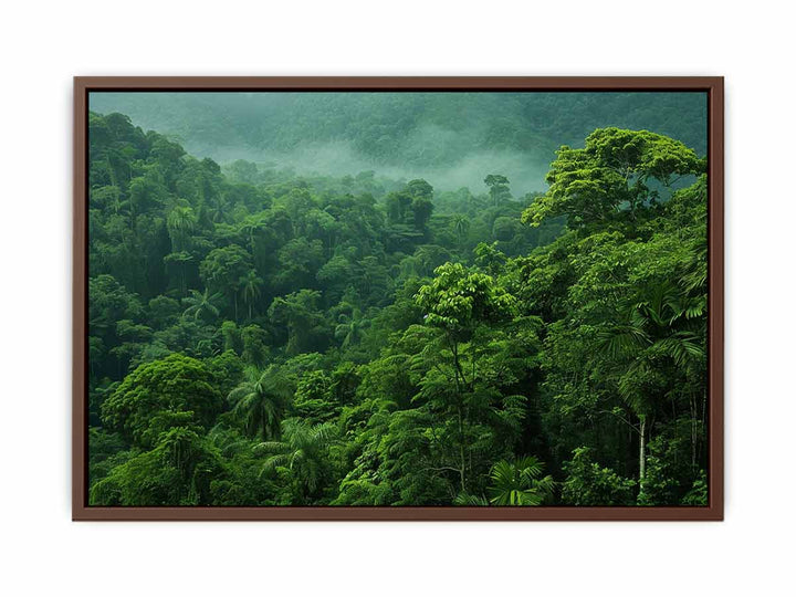 Rainforest  Poster