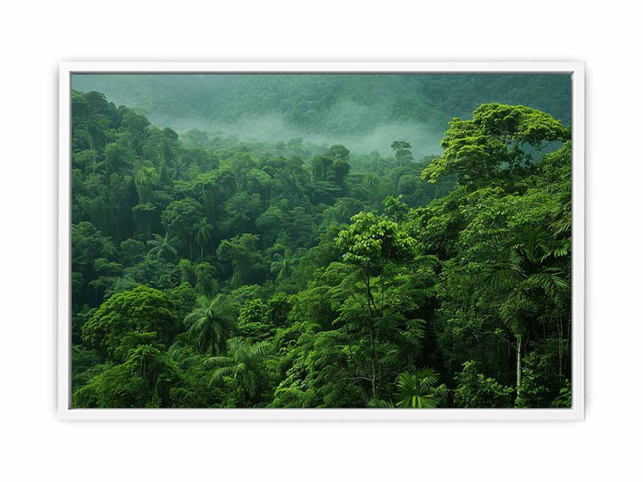 Rainforest Framed Print