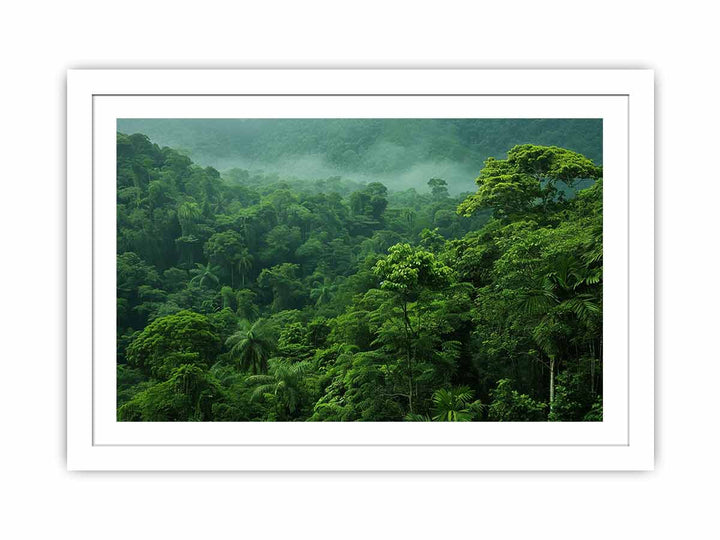 Rainforest Streched canvas