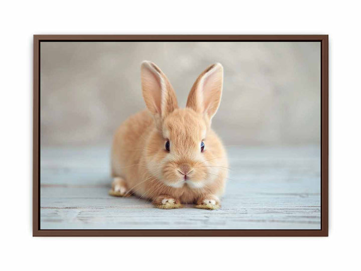 Cute Rabbit  Poster