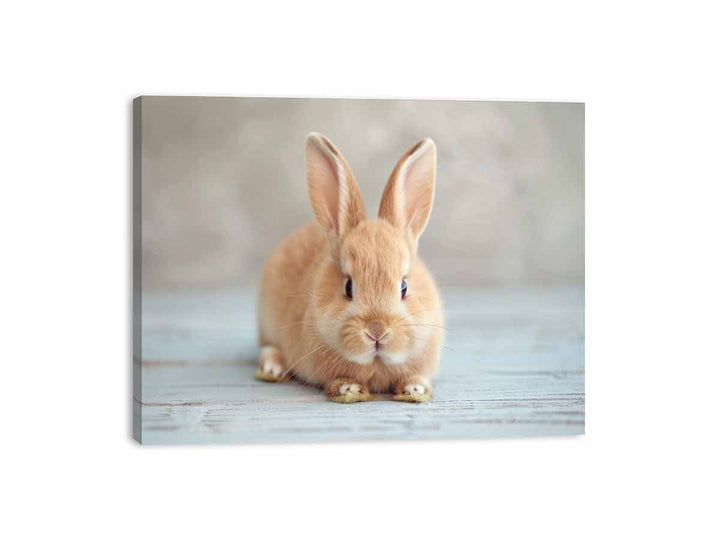 Cute Rabbit Canvas Print