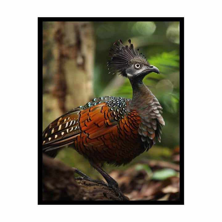 Lyrebird  Painting