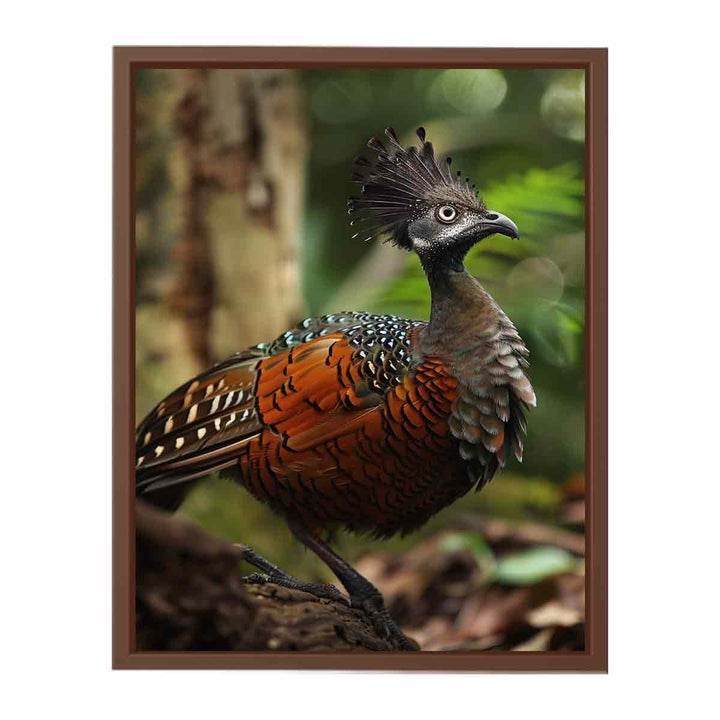 Lyrebird  Poster