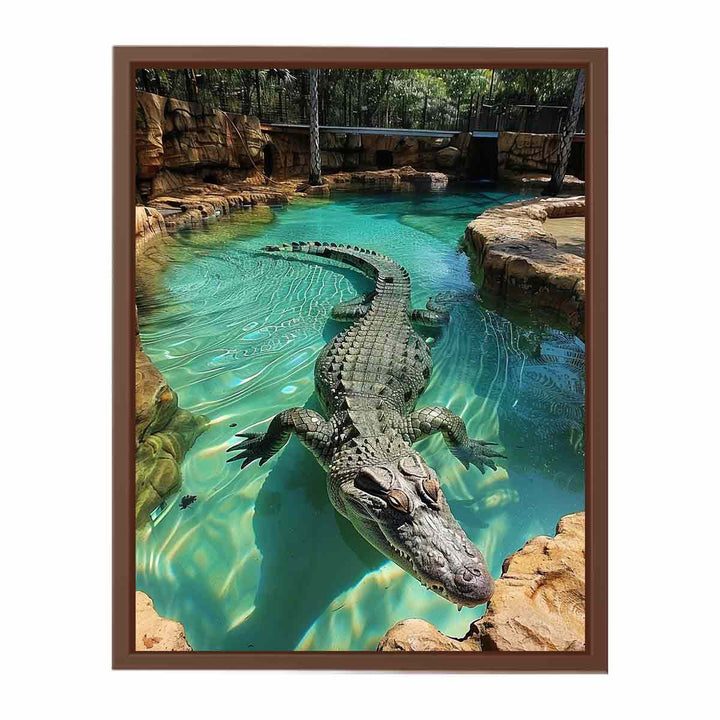 Saltwater Crocodile  Poster