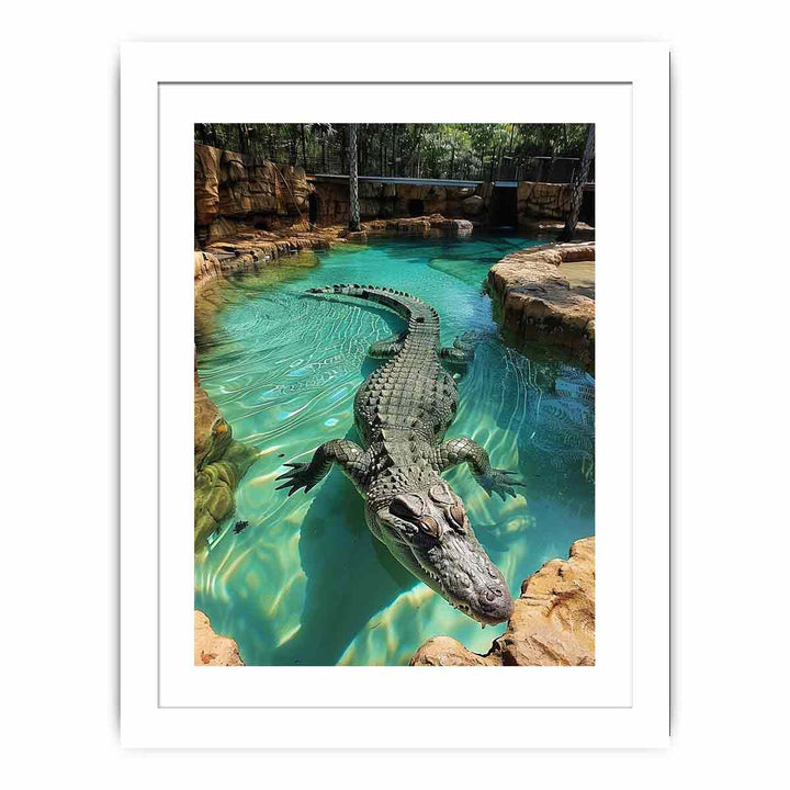 Saltwater Crocodile Streched canvas