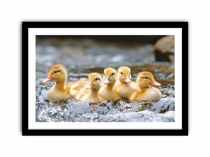 Cute Ducks  Art Print