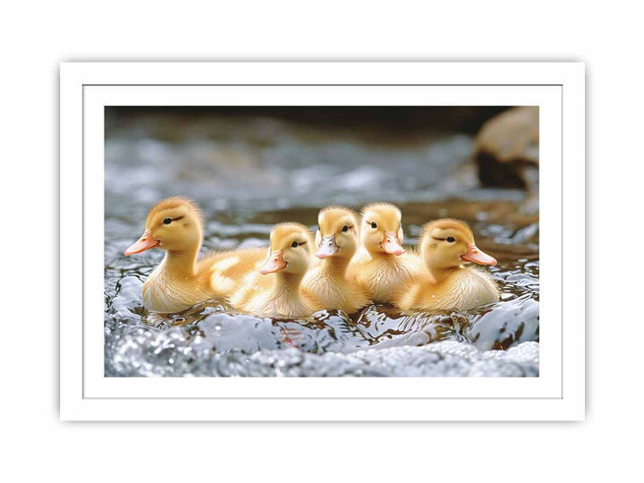 Cute Ducks Streched canvas