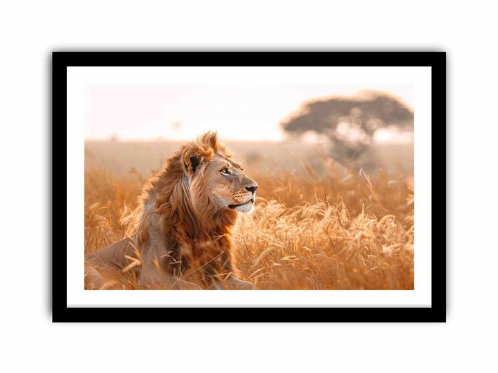 Lion Portrait   Art Print