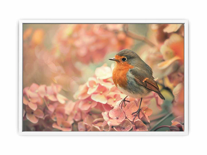 Little Robin Framed Print