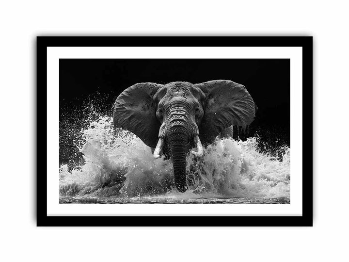 Water Elephant  Art Print