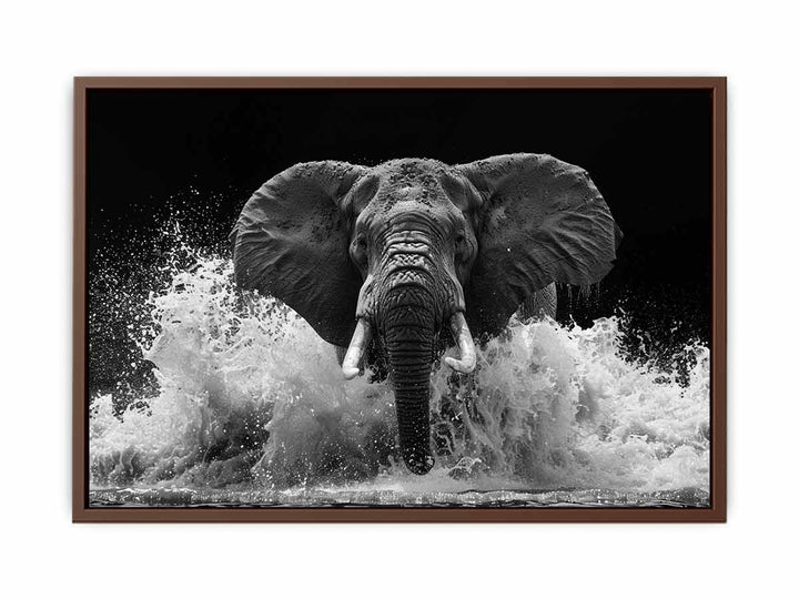 Water Elephant  Poster