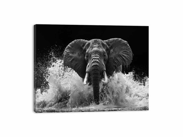 Water Elephant Canvas Print