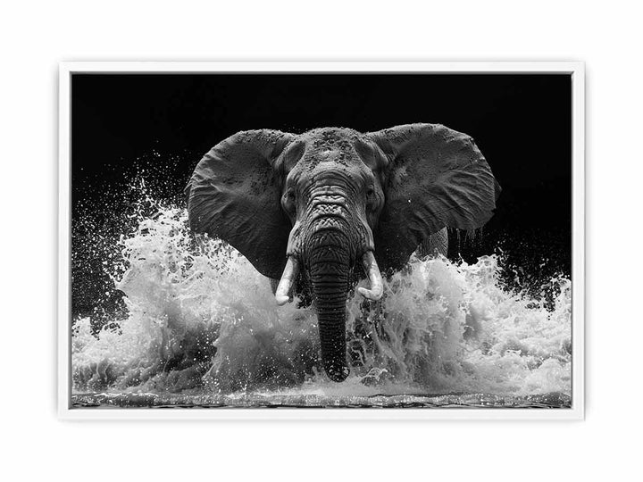 Water Elephant Framed Print