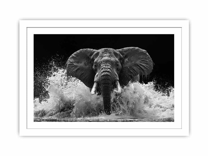 Water Elephant Streched canvas