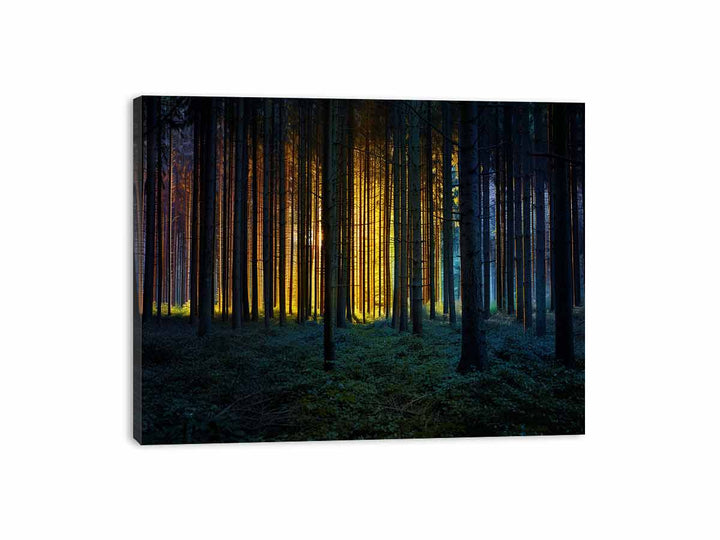 Colorful Forest Canvas Print