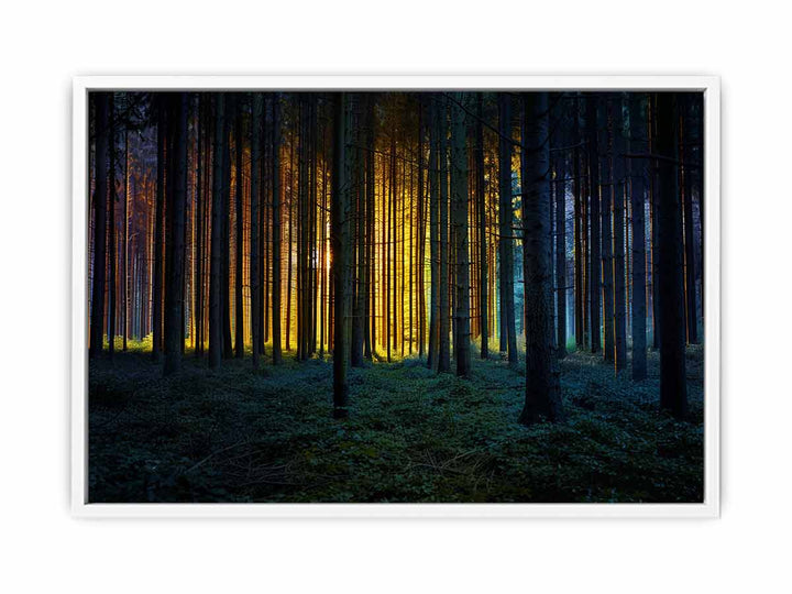 Colorful Forest Framed Print