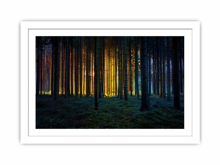 Colorful Forest Streched canvas