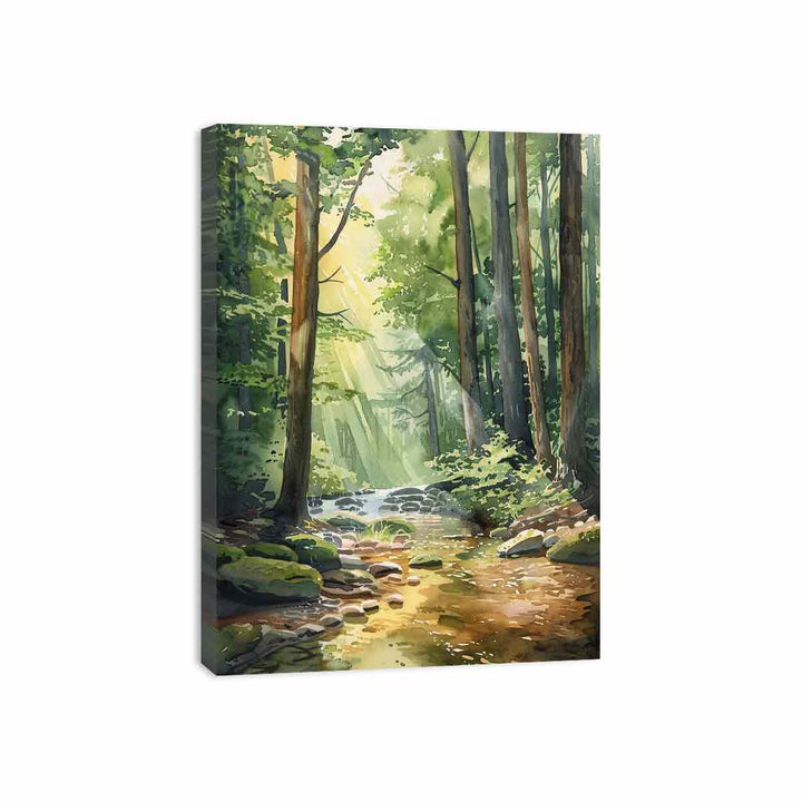 Forest Path  Canvas Print