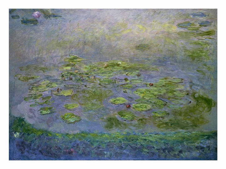 Monet Waterlilies,