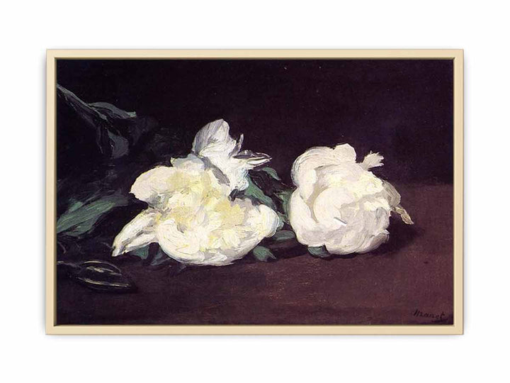 Branch of White Peonies and Secateurs  Art Print